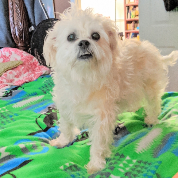 Meet your Seller/Buyer... - Picture 3 of 16